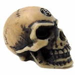 Lapillus Worry Skull