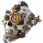 Erasmus Darwin's Steam Cerebrum Skull