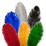 Plumes / Feathers - Large