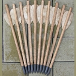 Crossbow Bolt Set of 10 - Forged Tips