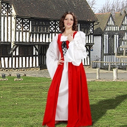 Fair Maiden's Dress C1094