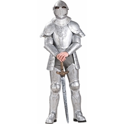 Knight in Shining Armor Adult Costume 38-60474