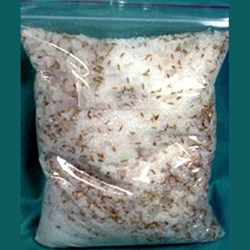 Water Bath Salts 45-RBWAT5