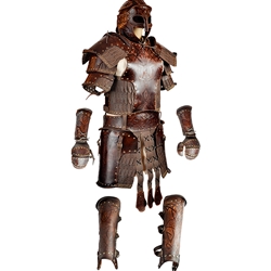 Viking - Complete Armor