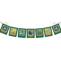 Eco-Logic Flag 63-0059