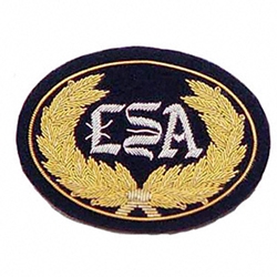 Civil War Hat Badge